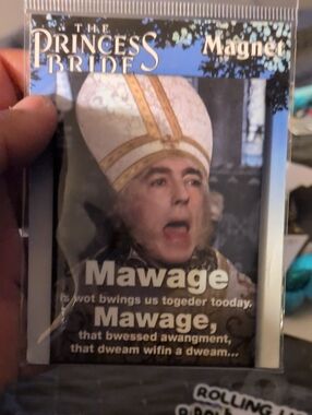 The Princess‎ Marriage Magnet
